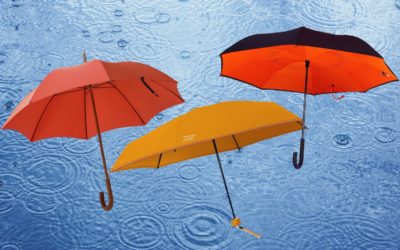 Step 3: Moving from Under the Umbrella Towards Goals